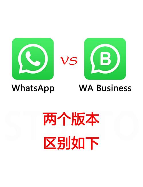 WHATSAPP是什么发色从品牌图标到网络热梗的趣味解读