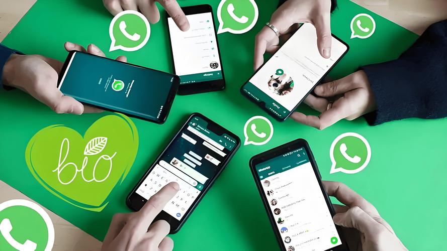 如何正确查找whatsapp的客服电话并识别虚假联系方式