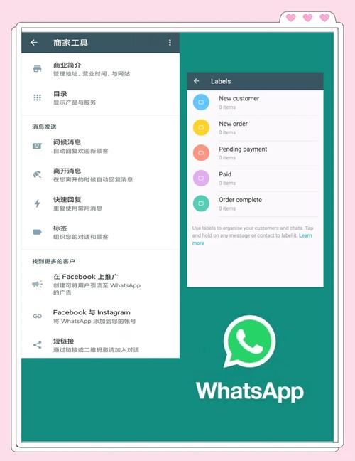 全面解析whatsapp使用技巧与安全设置提升沟通效率的实用指南