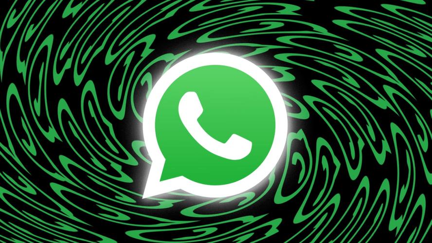 全面解析WhatsApp封号的原因以及常见触发行为与预防方法
