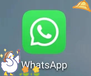 标题：whatsapp能撤回吗 详细说明撤回条件时间限制与常见问题